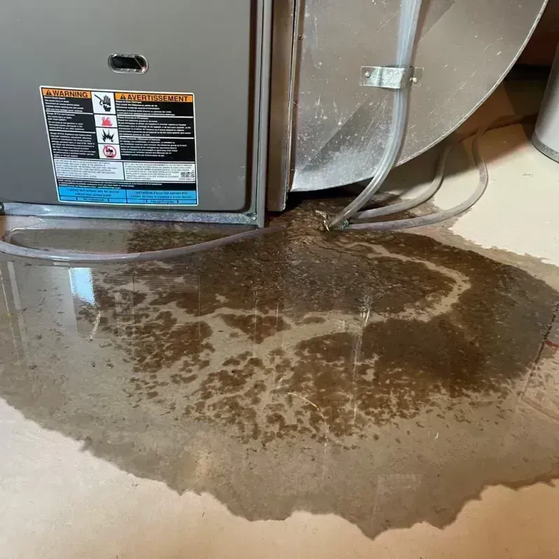 Appliance Leak Cleanup in Tensas Parish, LA